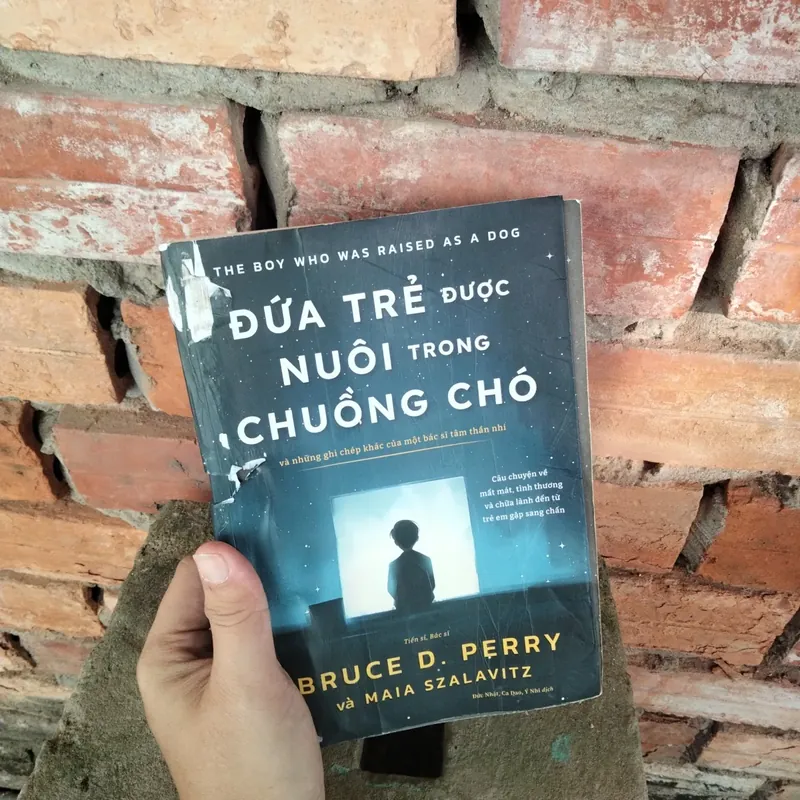 Đứa Trẻ Được Nuôi Trong Chuồng Chó  731026