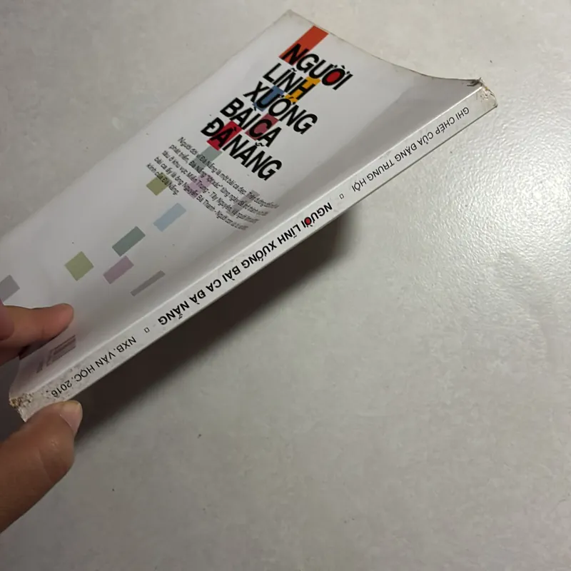 Người lĩnh xướng bài ca Đà Nẵng 736563