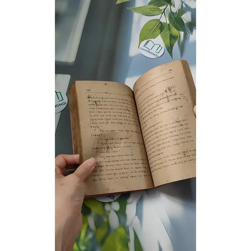 [XƯA] Cánh Bướm (1989) - Từ Kế Tường 776073