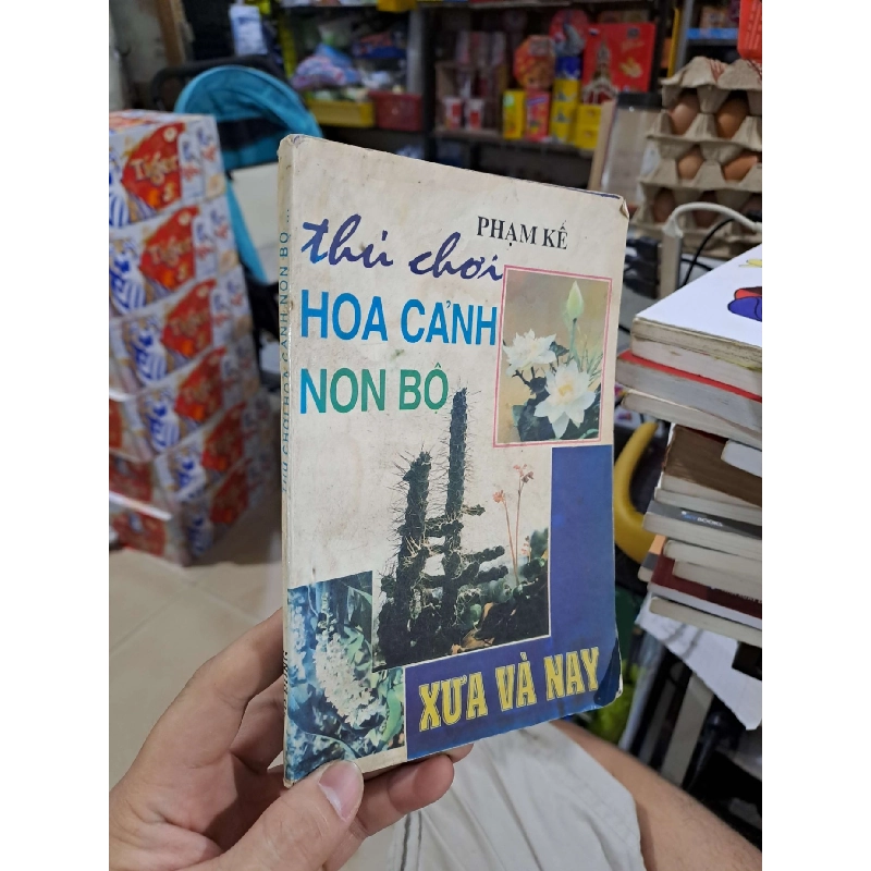 Thú Chơi Hoa Cảnh Non Bộ Xưa Và Nay - Phạm Kế - 1995 mới 80% ố - KỸ NĂNG - HCM3012 749688
