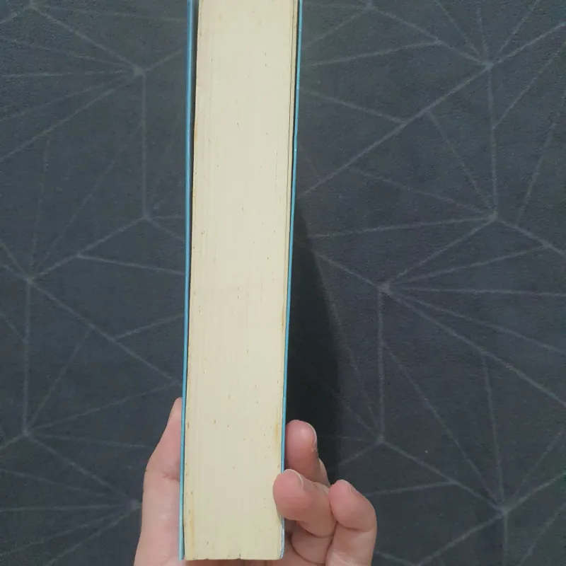 "Nếu không là tình yêu" - Diệp Lạc Vô Tâm 932010