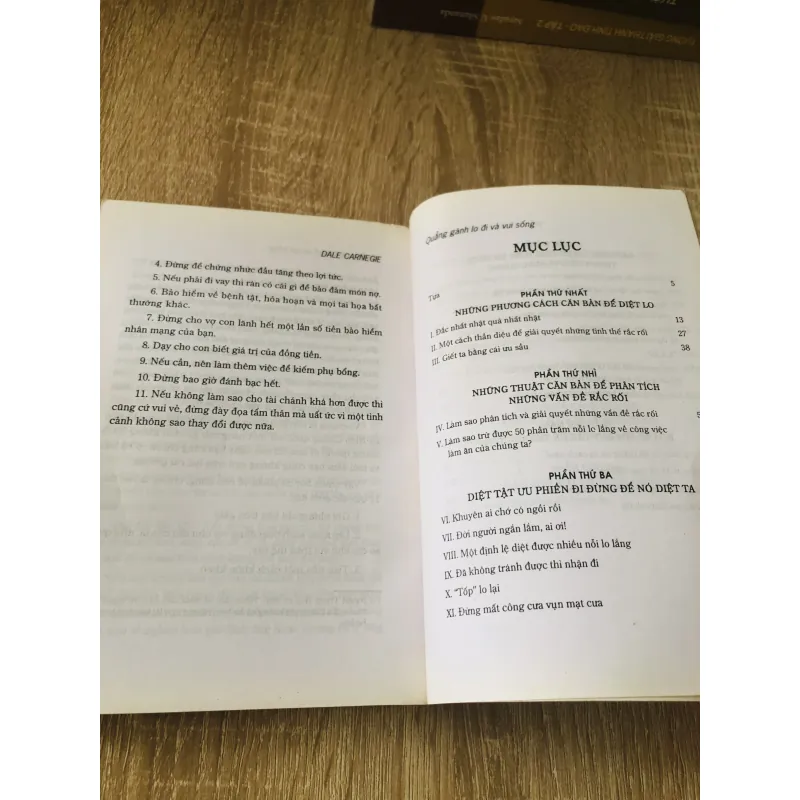 QUẢNG GÁNH LO ĐI & VUI SỐNG 1020356