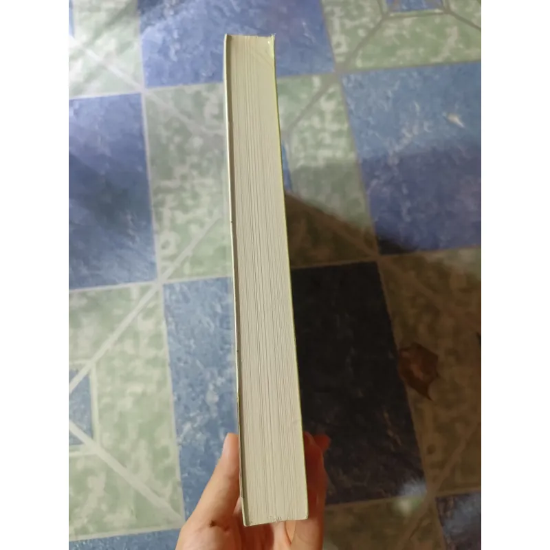 Nhà thờ đức bà Paris - Victor Hugo 1062798