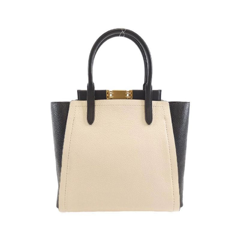 Túi Coach 78484 618561