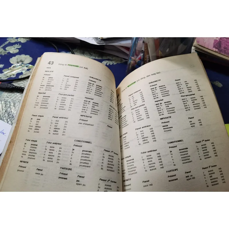 [Tiếng Pháp cơ bản] Cách chia 12000 Động từ Tiếng Pháp - Xuân Hùng 1008538