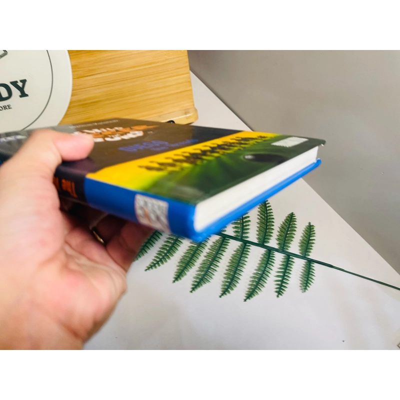 [Sách tiếng Anh 2hand] Like new 90% - The Wild Soccer Bunch: Diego the Tornado 504511