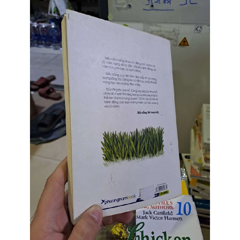 Đủ nắng thì hoa nở Ba Gàn mới 80% 2019 ố nhẹ KỸ NĂNG HCM2908 545386