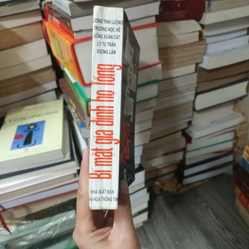 Bí mật gia đình ho Tống -Lương Tinh Lượng 933899