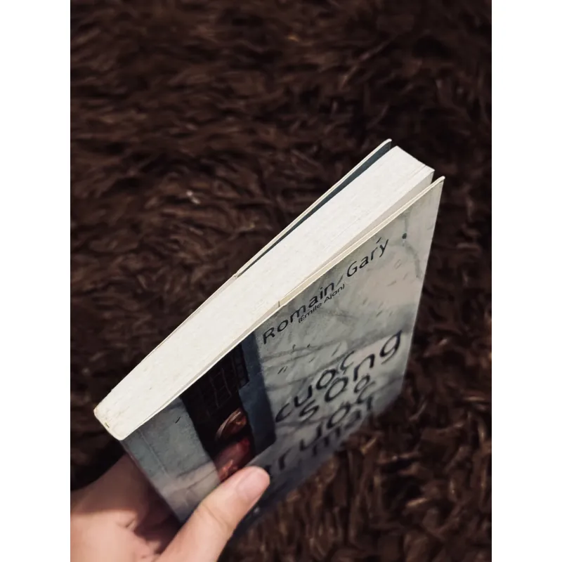 Cuộc sống trước mặt 1003506