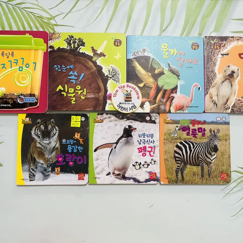 Set boardbook tranh ảnh động vật, thực vật chó bé B30 l 1043706