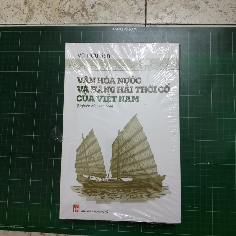 Văn hoá nước và hàng hải thời cổ của Việt Nam 561683