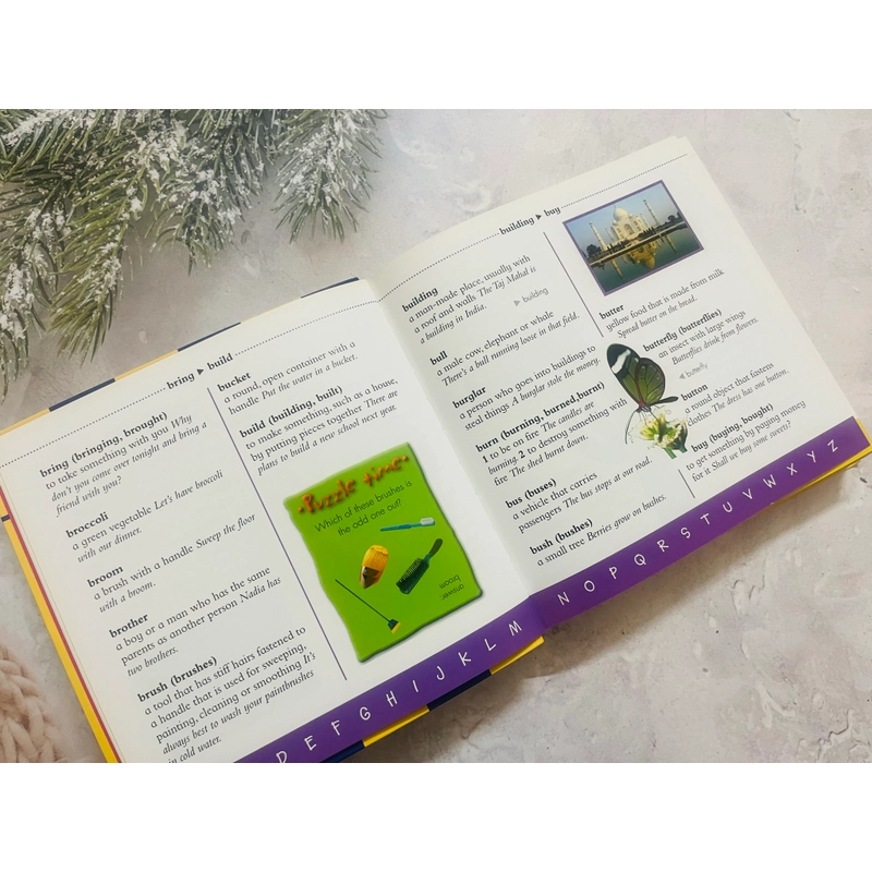 Junior Dictionary & Thesaurus 548434