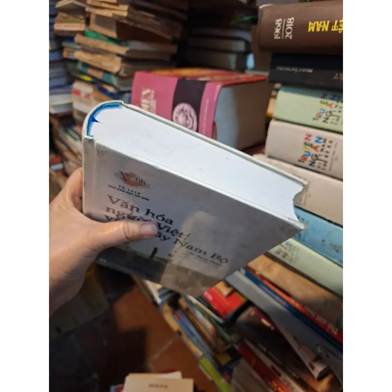 Văn hóa người Việt vùng Tây Nam Bộ  931145