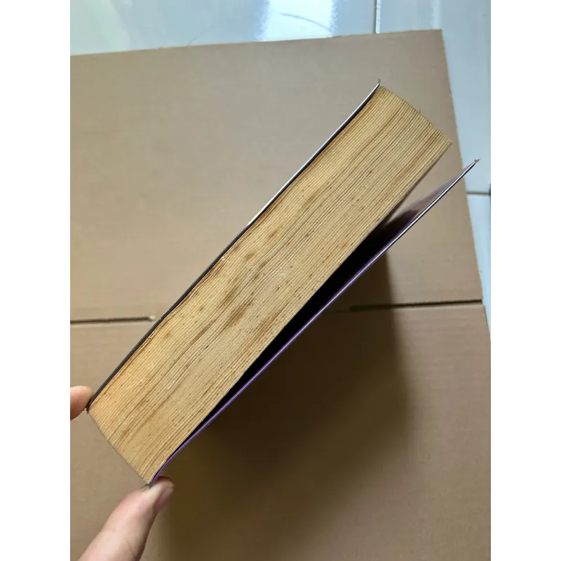 Ánh sáng thành phố - Lôi Mễ 734301