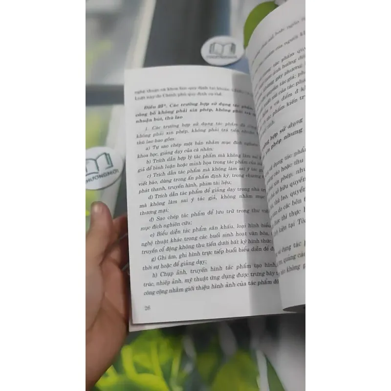 Luật Sở Hữu Trí Tuệ Và Nghị Định Hướng Dẫn Về Quyền Tác Giả, Quyền Liên Quan 727366