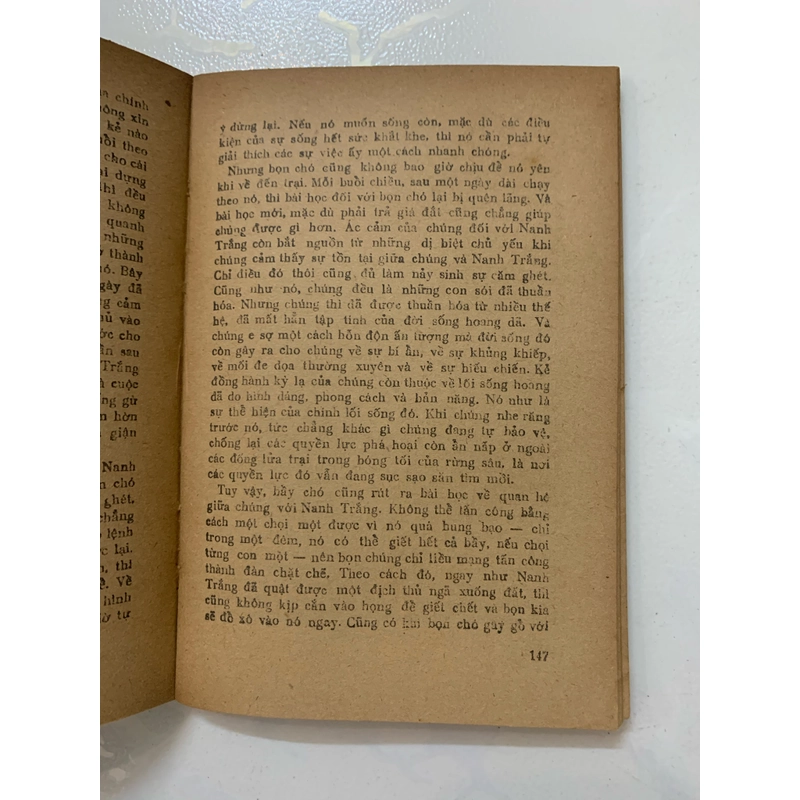 Nanh trắng Jack London phiên bản 1987 sácb cổ 464484