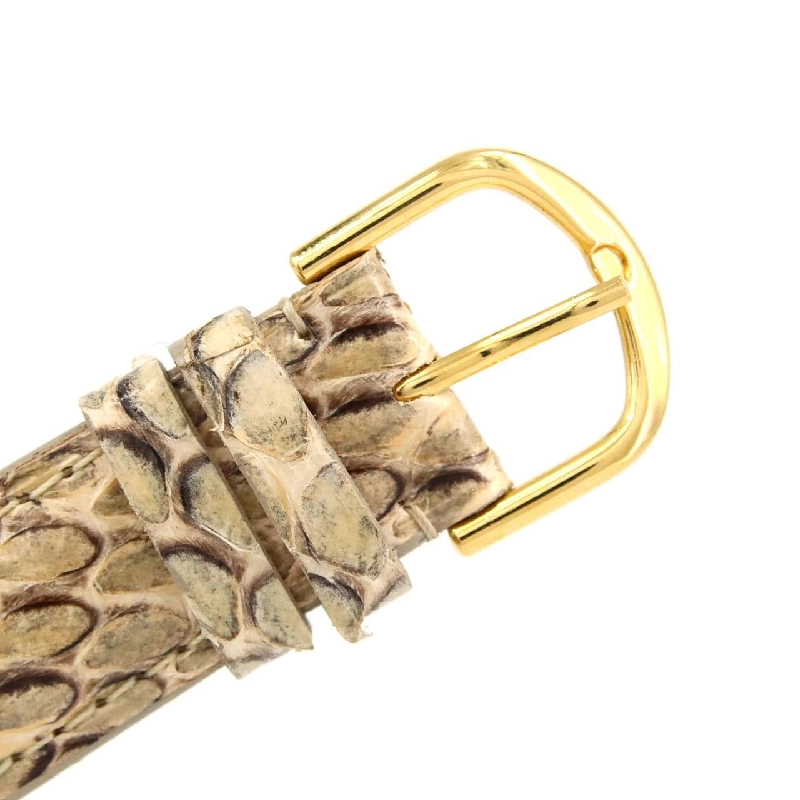 Đồng hồ Omega Seamaster Day-Date GP GP tự động - Hàng hiệu Authentic 880257