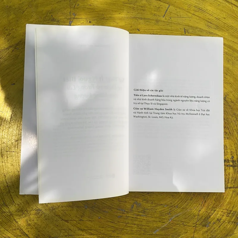 ÍT NGƯỜI BIẾT SỰ THẬT VỀ ĐIỆN VÀ TƯƠNG LAI CỦA NĂNG LƯỢNG-bản sửa đổi-SCHERNIKAU & SMITH 1002349