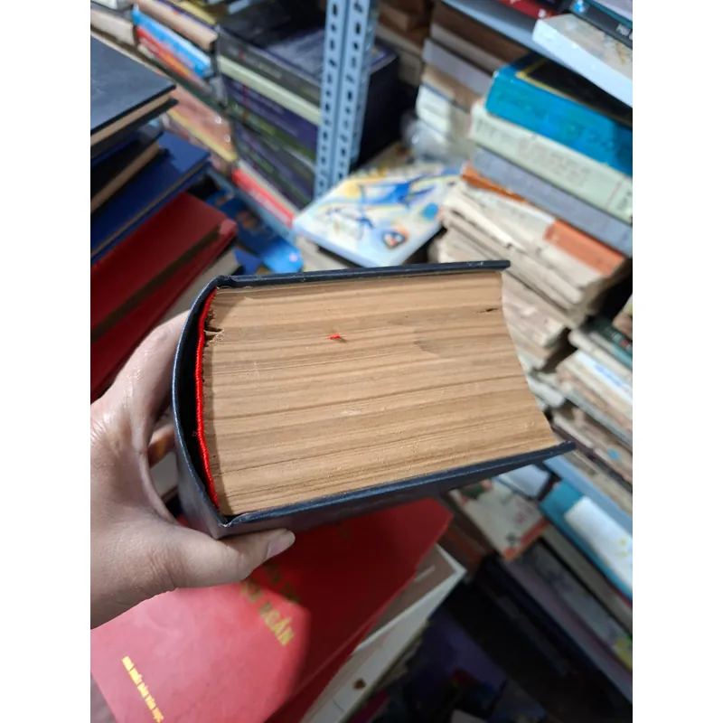 Việt nam tân từ điển 711984