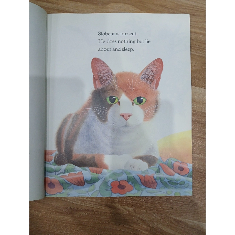 Slobcat - Paul Geraghty 547752