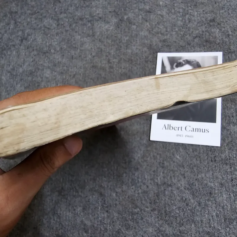 Hemingway và những người đi qua đời ông 1004980