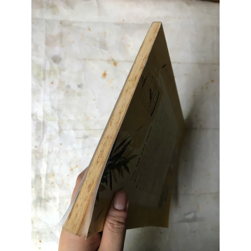 Đêm Gành Hào Nghe Điệu Hoài Lang - Vũ Đức Sao Biển 974417