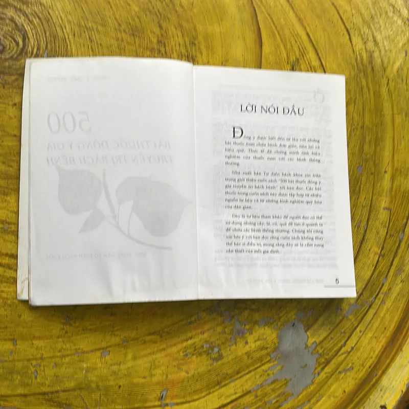 500 BÀI THUỐC ĐÔNG Y GIA TRUYỀN TRỊ BÁCH BỆNH- LƯƠNG Y QUỐC DƯƠNG 605146