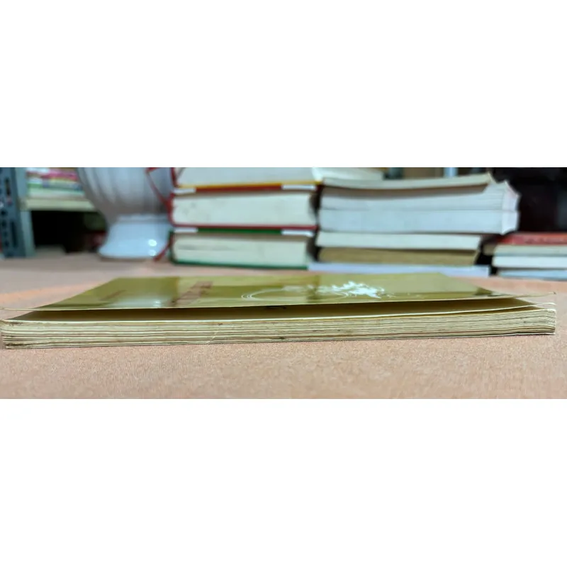 Như cõi mộng 🌊 600558