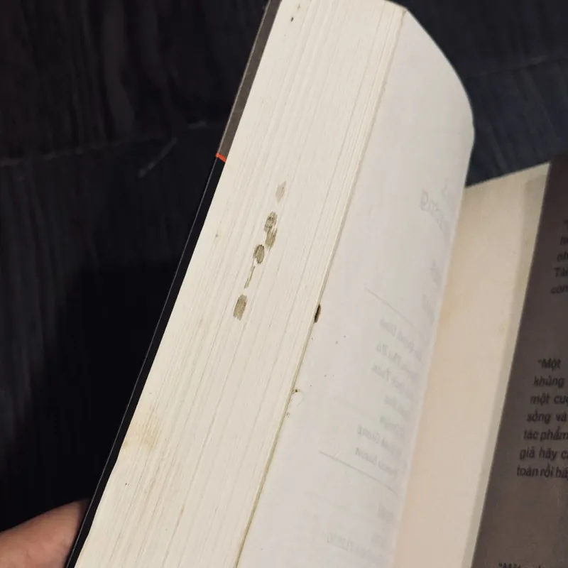 Trần trụi với văn chương 600984