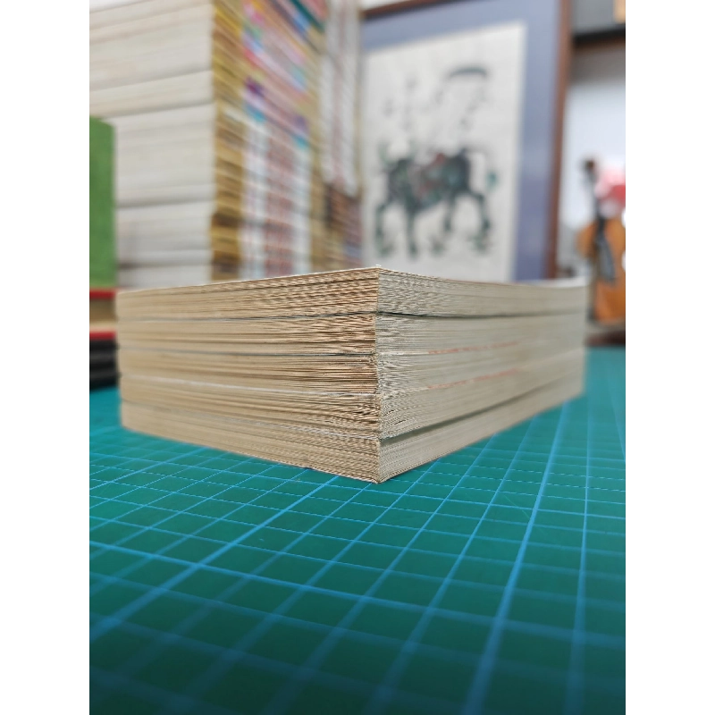 TRUYỆN TRANH HOA NẮNG - ADACHI MITSURU 297154