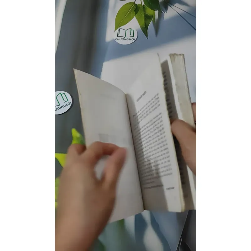 Cơ Sở Văn Hóa Việt Nam 928591