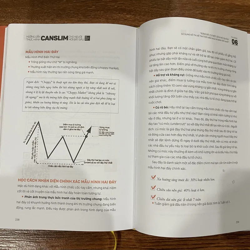 Làm giàu từ chứng khoán + Hướng dẫn thực hành Canslim cho người mới bắt đầu 605515