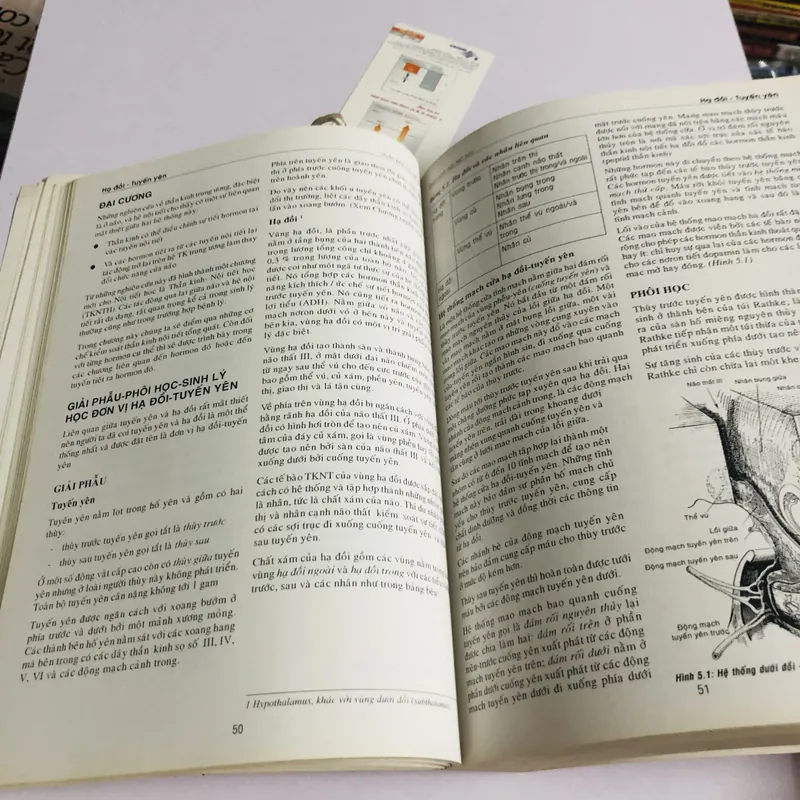 📚 NỘI TIẾT HỌC ĐẠI CƯƠNG 👩‍⚕️ Tác giả: Mai Thế Trạch – Nguyễn Thu Khuê 593719