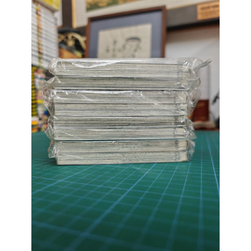 TRUYỆN TRANH TÌNH ĐẦU NHẠT PHAI - WATARU HINEKURE 159894