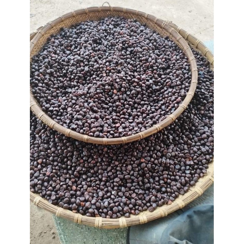 Hạt dổi nếp khô túi 1kg hàng chuẩn chất lượng từ Hoà Bình 139552