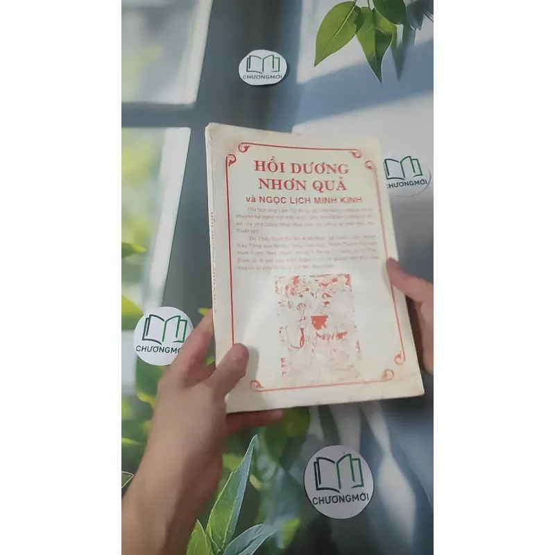 Hồi Dương Nhơn Quả 1018902