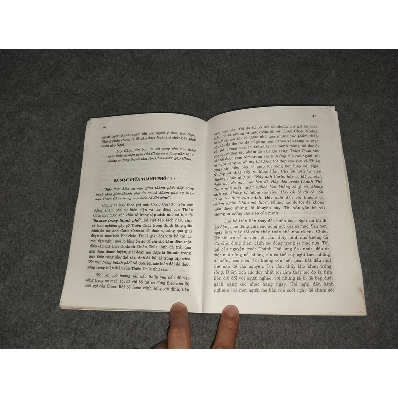 HẠT GIỐNG ÂM THẦM 517737