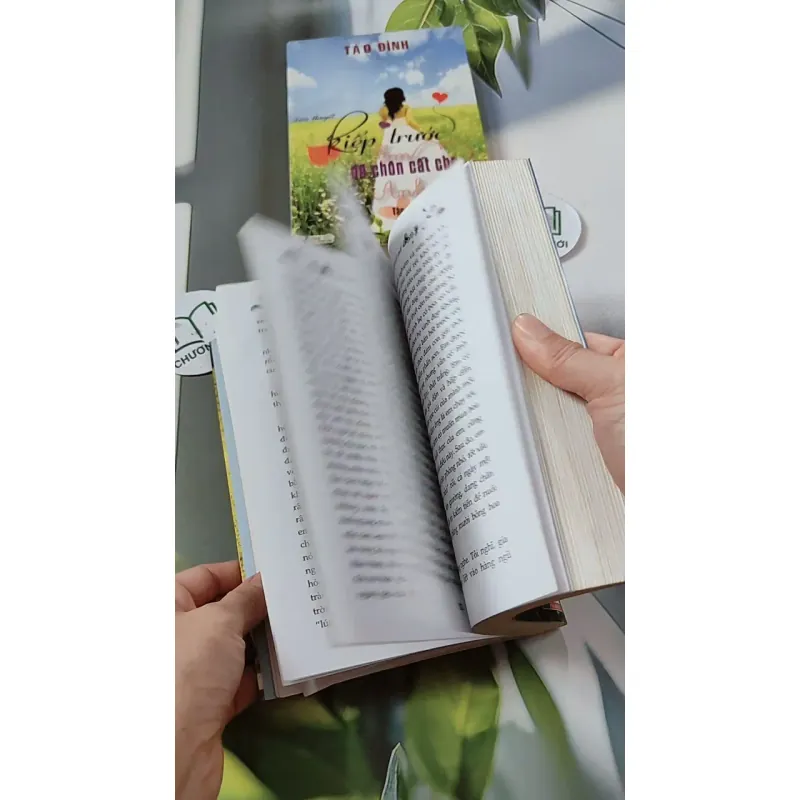 Bộ Kiếp Trước Em Đã Chôn Cất Cho Anh - Tào Đình 744693