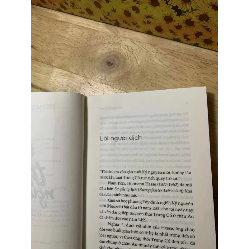 Sói Thảo Nguyên - Hermann Hesse 674949