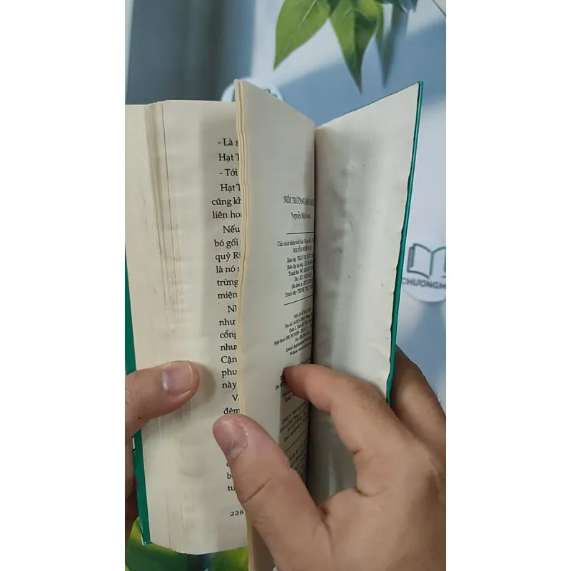 Ngôi trường mọi khi - Nguyễn Nhật Ánh 798381