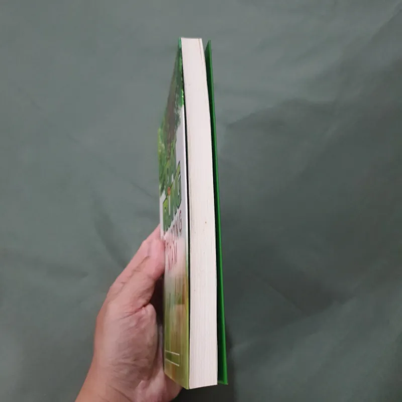 Đất Rừng Phương Nam - Đoàn Giỏi 928873