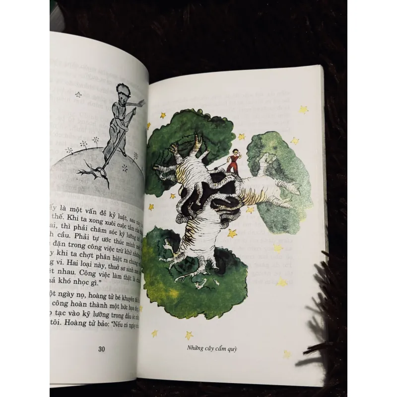 Hoàng tử bé 973399