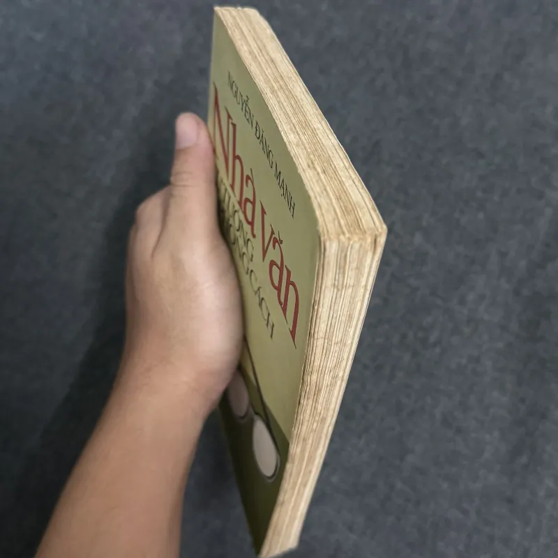 Nhà văn, tư tưởng và phong cách - Nguyễn Đăng Mạnh 792039
