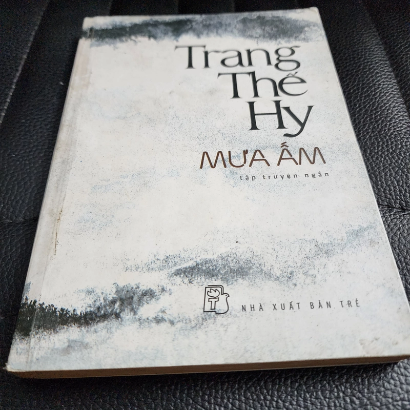 Mưa ấm | Trang Thế Hy  502440
