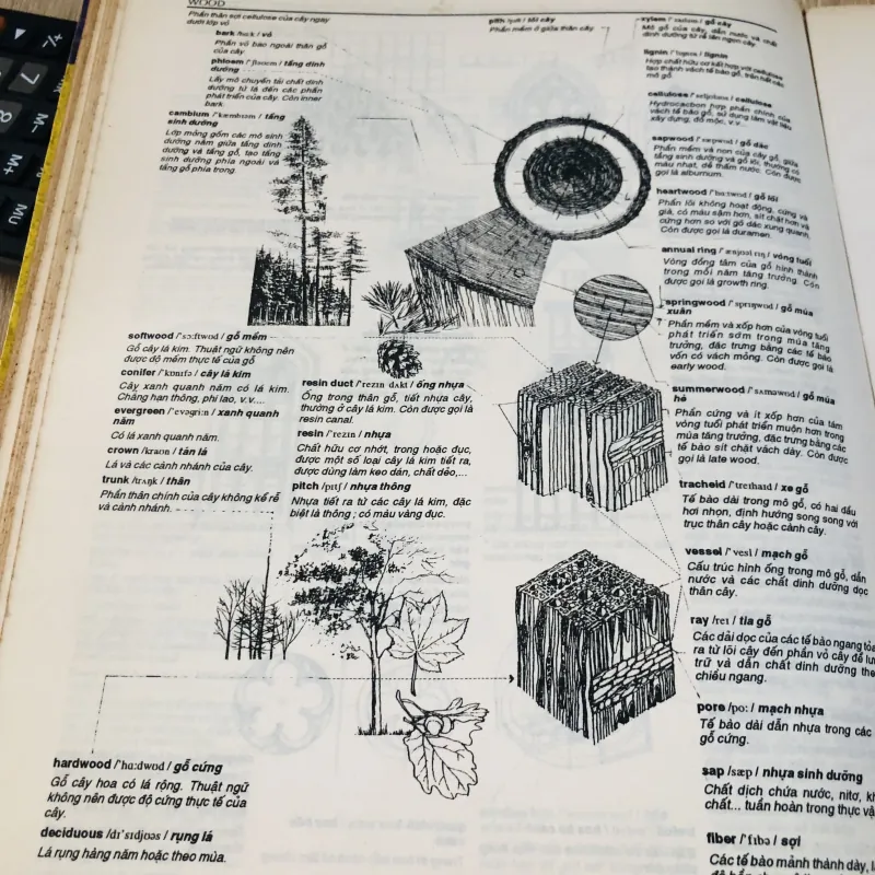 TỪ ĐIỂN KIẾN TRÚC ANH - VIỆT BẰNG HÌNH 971136