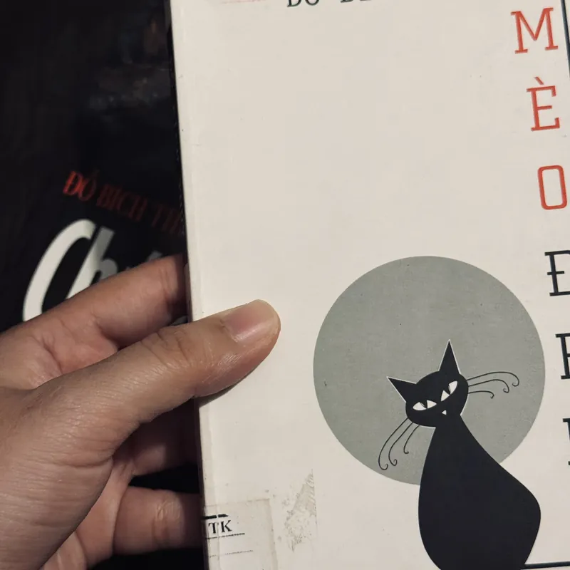 Combo 2c Đỗ Bích Thuý 684423