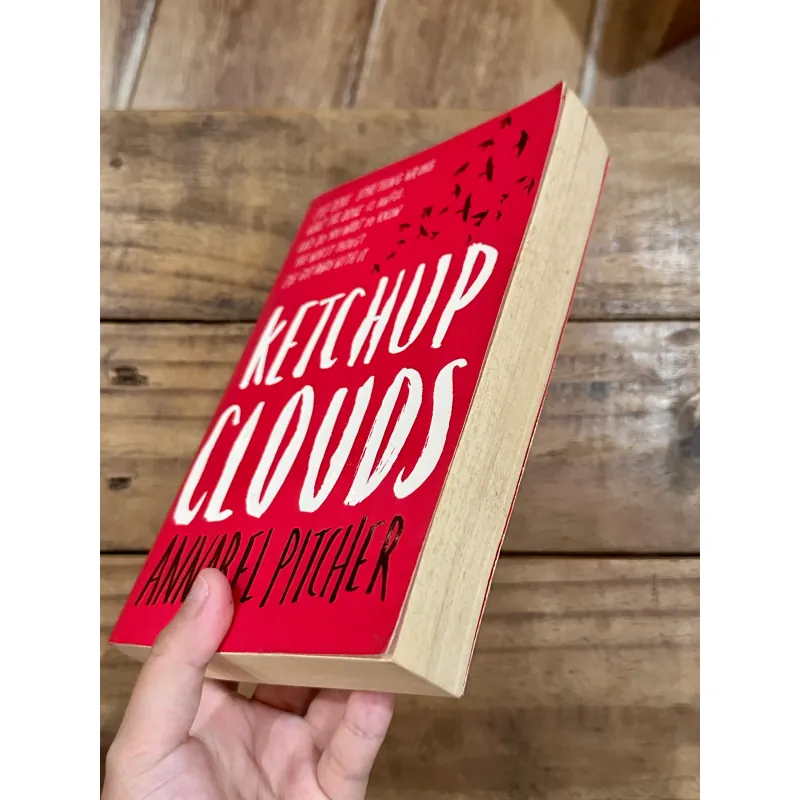 Ketchup Clouds - Annabel Pitcher 731670