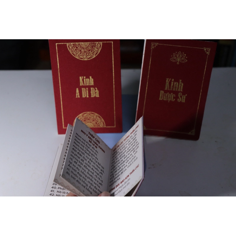 Kinh Nhật Tụng cầm tay  478646