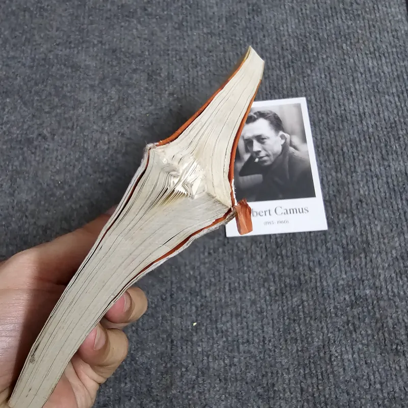 Nhà giả kim - Paulo Coelho 1029558