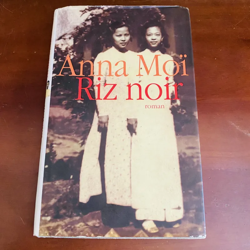 Riz noir roman - Anna Moï  775904